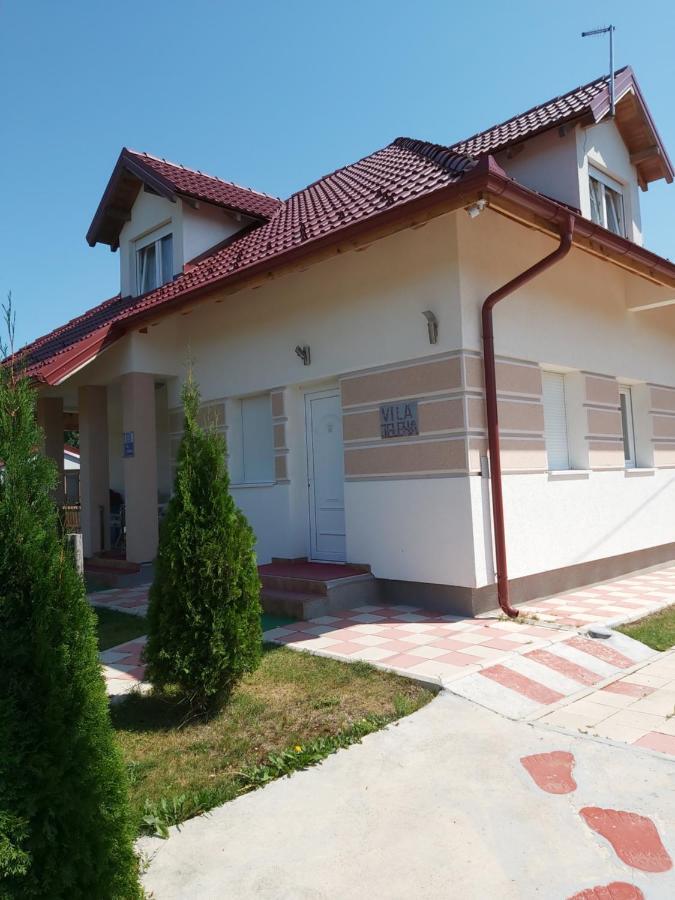 Vila Jelena Дівчибаре Екстер'єр фото